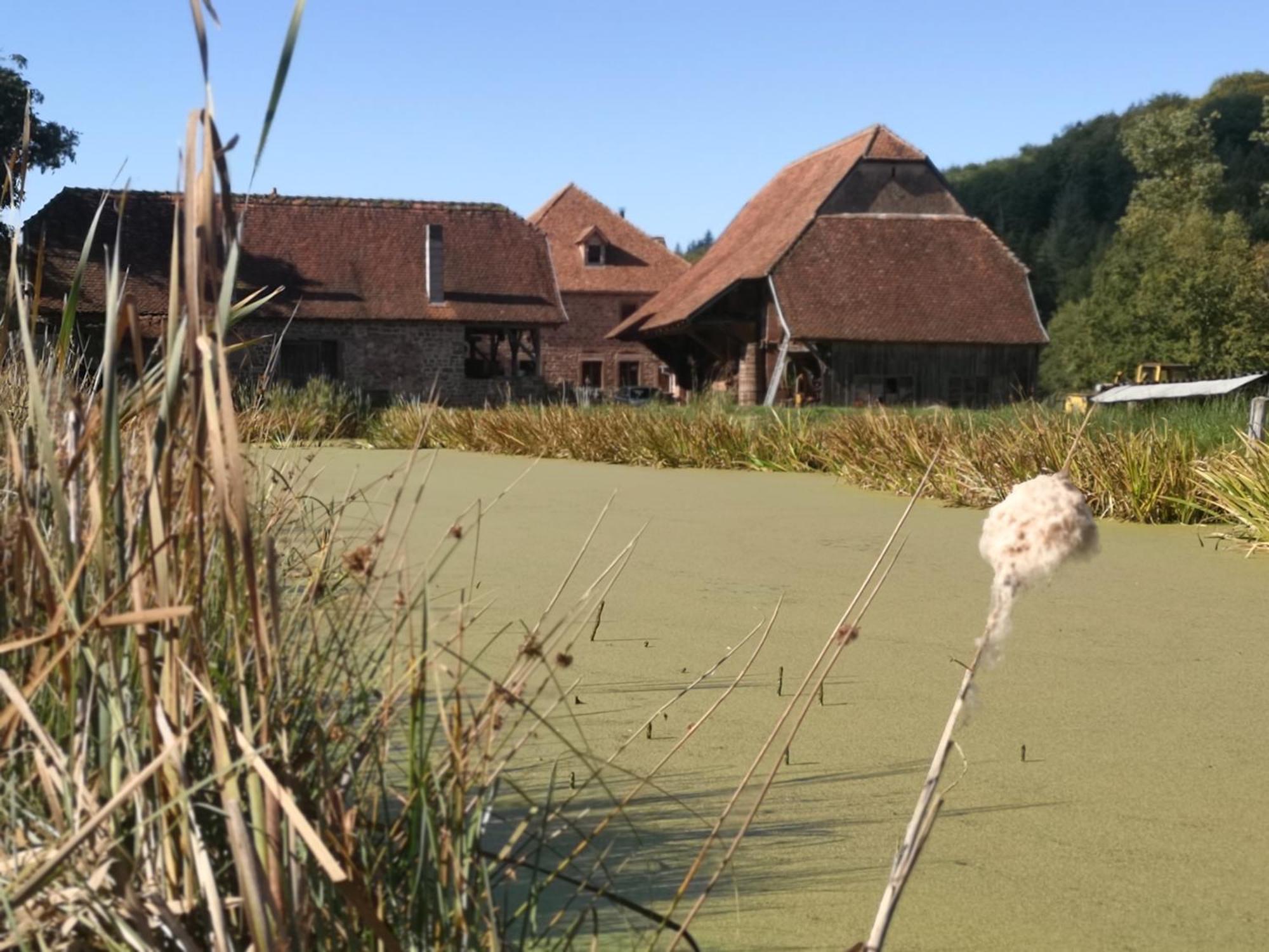 Maison D'Hotes De Charme - Ancien Moulin En Pleine Nature - La Paulusmuehle Soucht Buitenkant foto