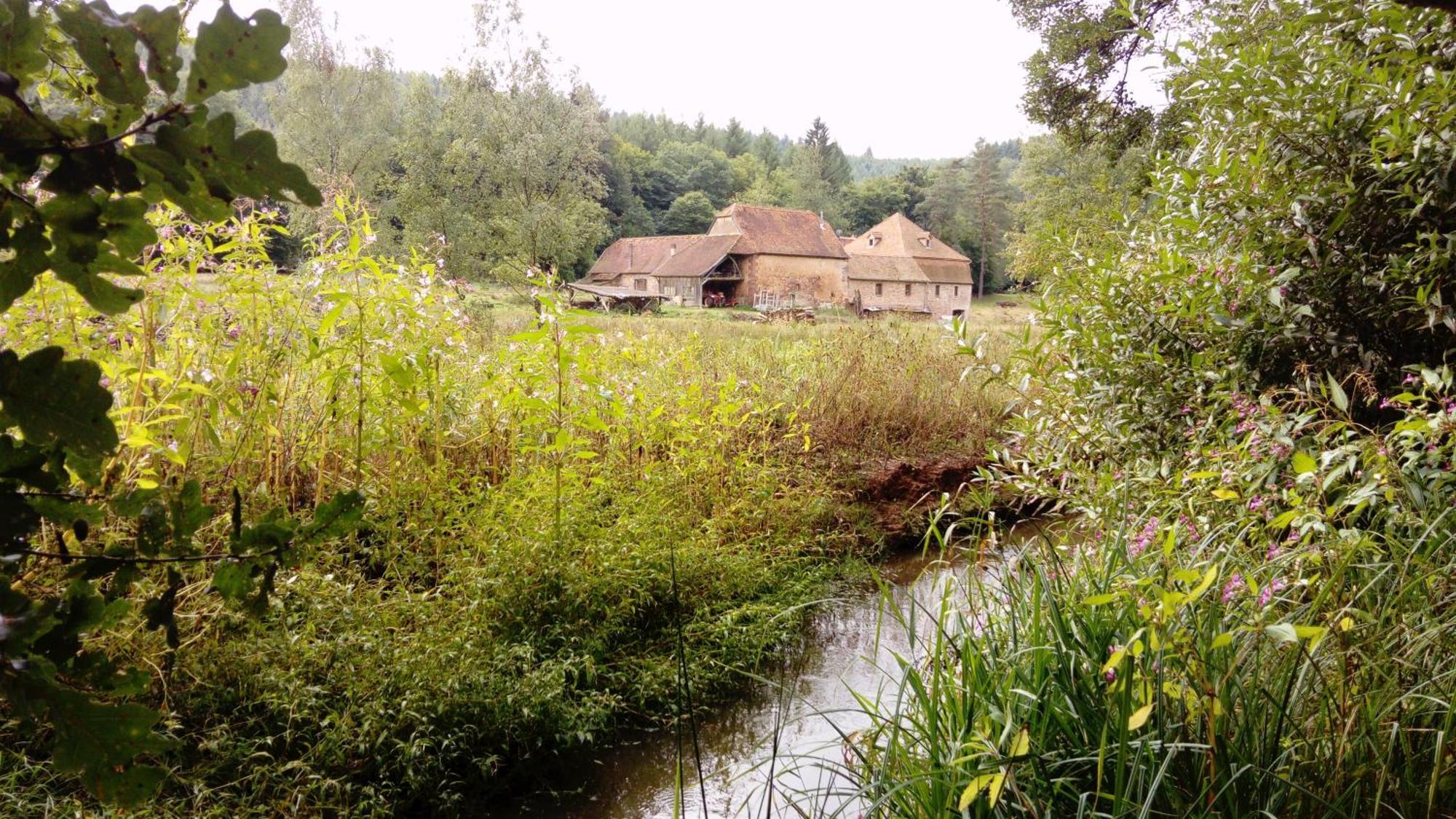 Maison D'Hotes De Charme - Ancien Moulin En Pleine Nature - La Paulusmuehle Soucht Buitenkant foto