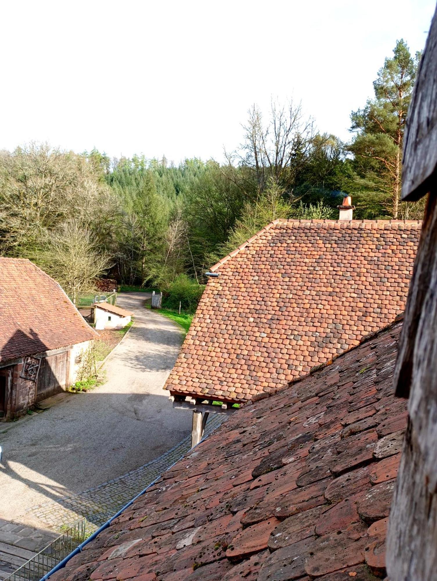 Maison D'Hotes De Charme - Ancien Moulin En Pleine Nature - La Paulusmuehle Soucht Buitenkant foto