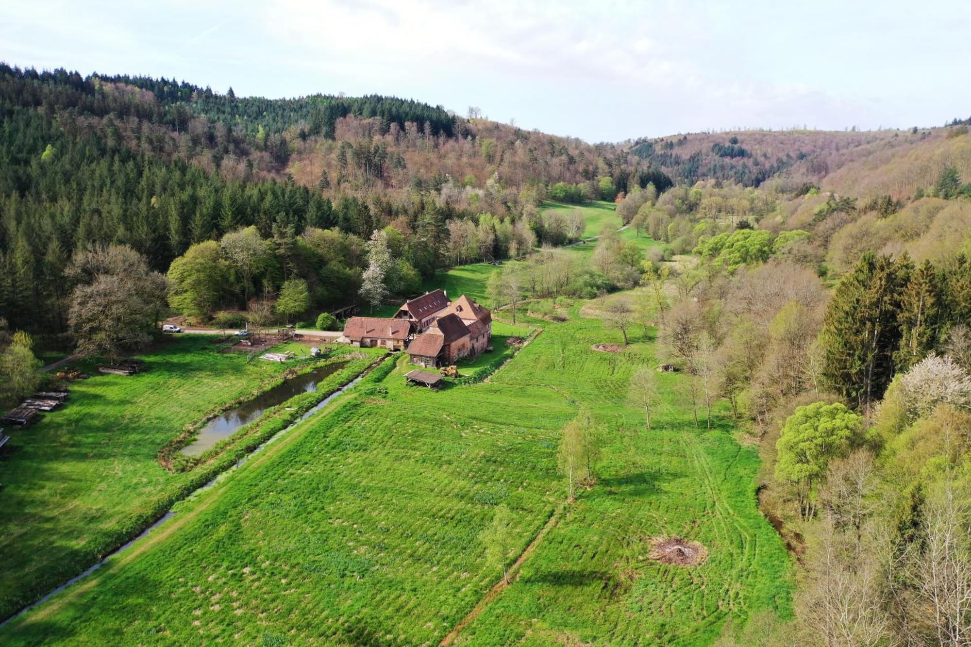 Maison D'Hotes De Charme - Ancien Moulin En Pleine Nature - La Paulusmuehle Soucht Buitenkant foto