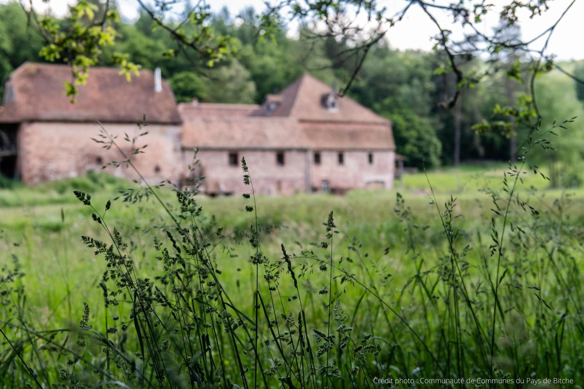 Maison D'Hotes De Charme - Ancien Moulin En Pleine Nature - La Paulusmuehle Soucht Buitenkant foto