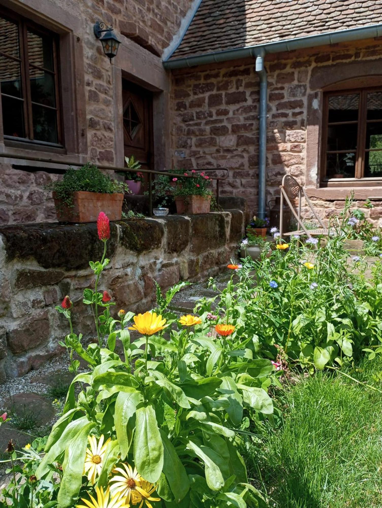Maison D'Hotes De Charme - Ancien Moulin En Pleine Nature - La Paulusmuehle Soucht Buitenkant foto